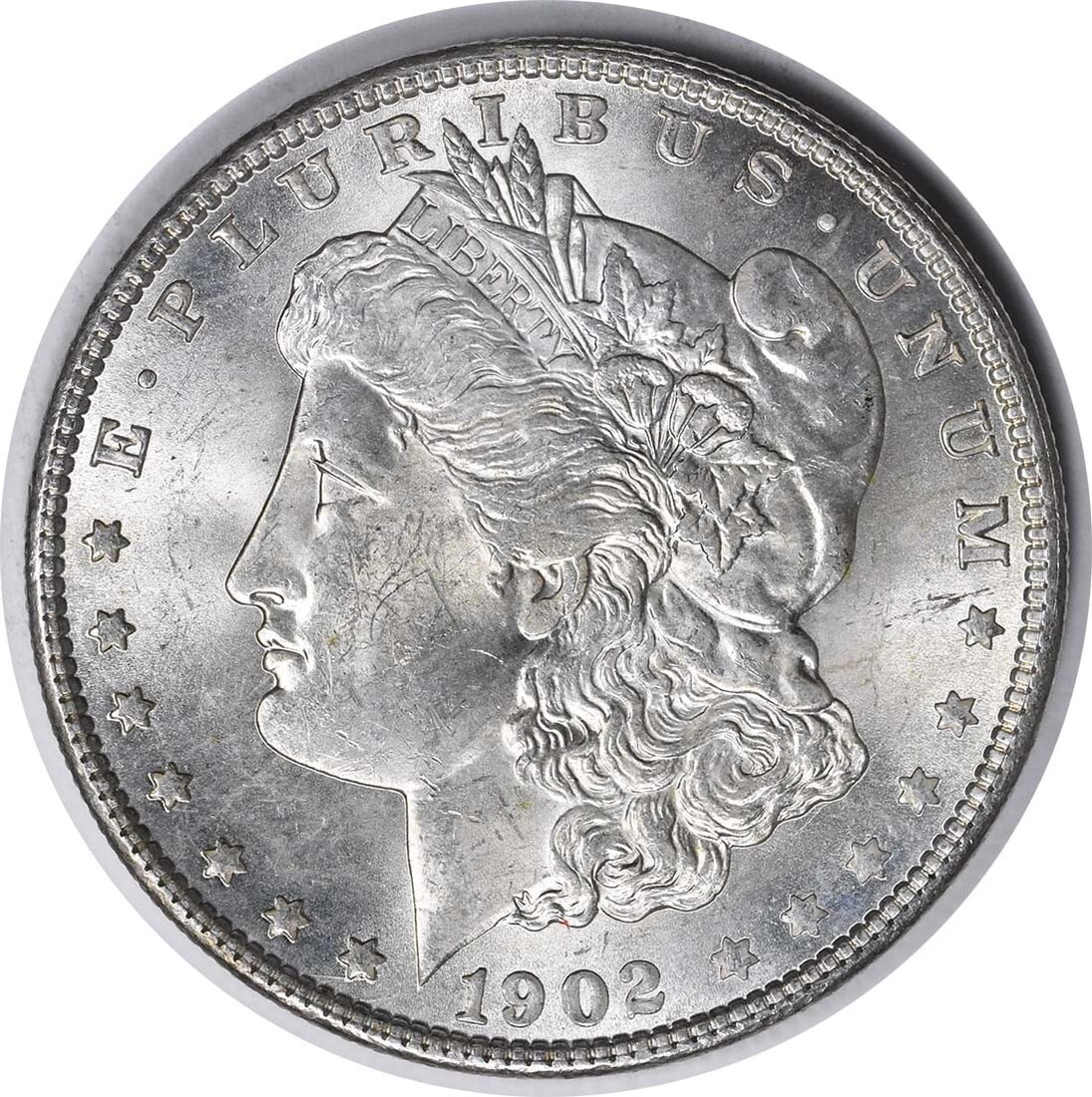 Uncirculated 1902-O Morgan Dollar Silver VAM 25 Doubled Ear Variety: Uncirculated 1902-O Morgan Dollar Silver VAM 25 Doubled Ear Variety This 1902-O Morgan Silver Dollar is a VAM 25 variety featuring a doubled ear. The coin is in Brilliant Uncirculated (BU) condition a