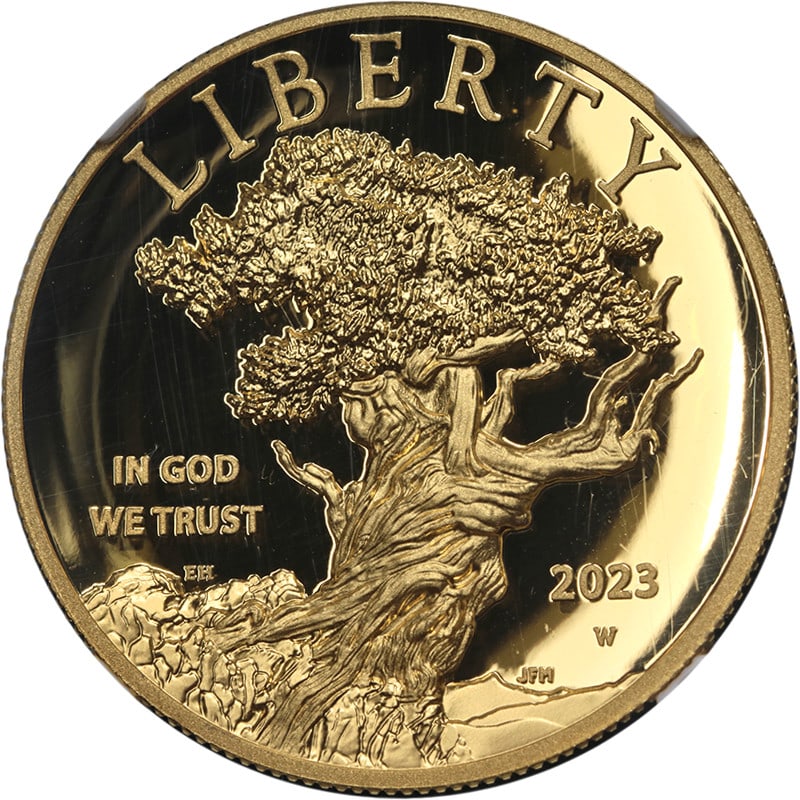 NGC PF70 Ultra Cameo 2023-W $100 Gold High Relief Liberty Coin: NGC PF70 Ultra Cameo 2023-W $100 Gold High Relief Liberty Coin This is a 2023-W American Liberty Series $100 Gold High Relief Proof coin, graded PF70 Ultra Cameo by NGC. The coin is uncirculated and f