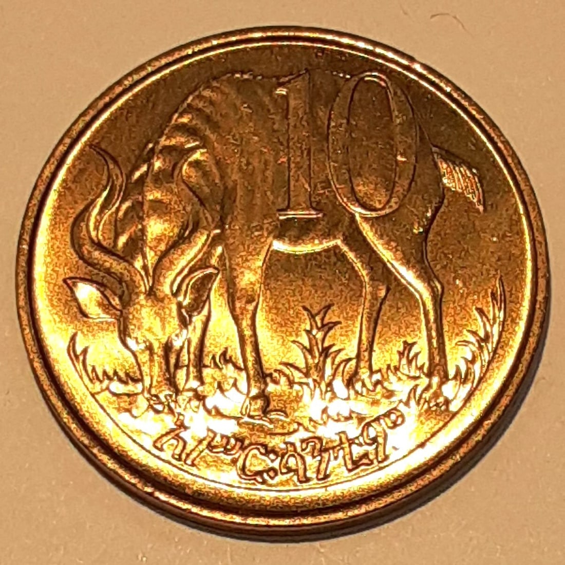 Roll of 20 Uncirculated 1977 Ethiopia 10 Santim Nickel-Brass Coins Lion Antelope: Roll of 20 Uncirculated 1977 Ethiopia 10 Santim Nickel-Brass Coins Lion Antelope This roll contains 20 uncirculated 1977 Ethiopia 10 Santim coins, each struck in nickel-brass. The obverse features a r