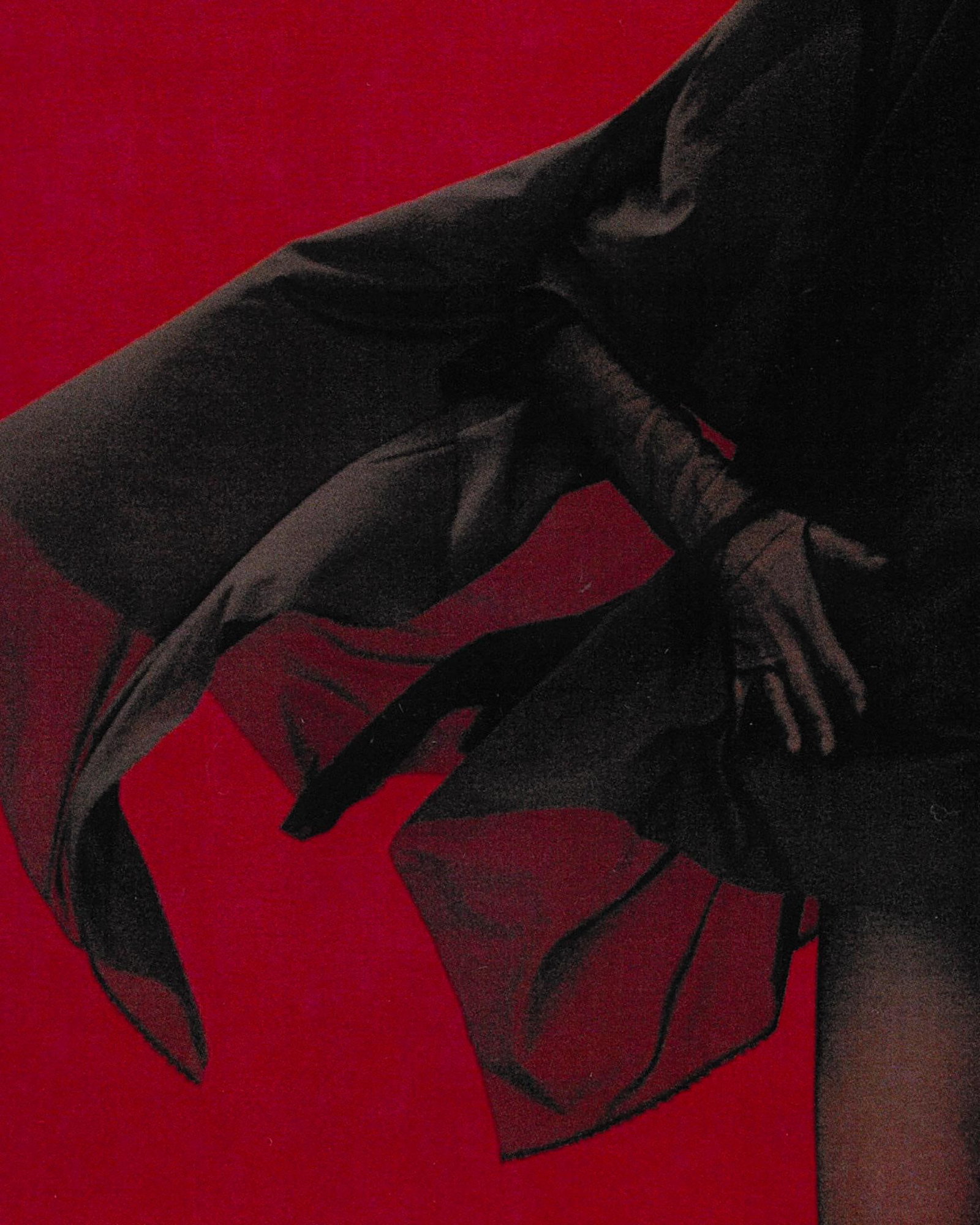Kseniya Vashchenko Fragment Photography 39 x 31 Edition of 7: Kseniya Vashchenko Fragment Photography 39 x 31 Edition of 7 "Fragment" is a striking contemporary photography piece by Kseniya Vashchenko, measuring 39" x 31". Created in 2023, this digital pigment p