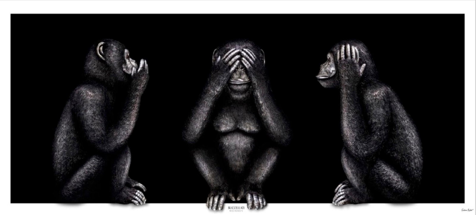 BWM-S2 Framed Photography Edition 1/4 by Giuliano Bekor 23 x 49 Inches (1 of 6)
