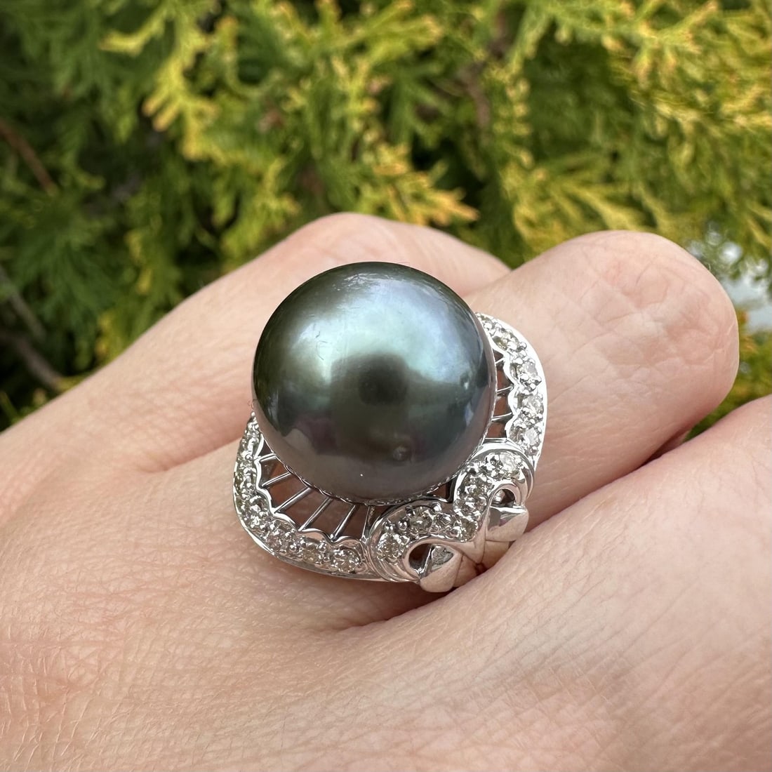 Tahitian pearl diamond cocktail ring 14k white gold size 6.5: Tahitian pearl diamond cocktail ring 14k white gold size 6.5 This statement ring features a large, natural round Tahitian pearl measuring approximately 13.92mm, set in solid 14k white gold. Accentuate