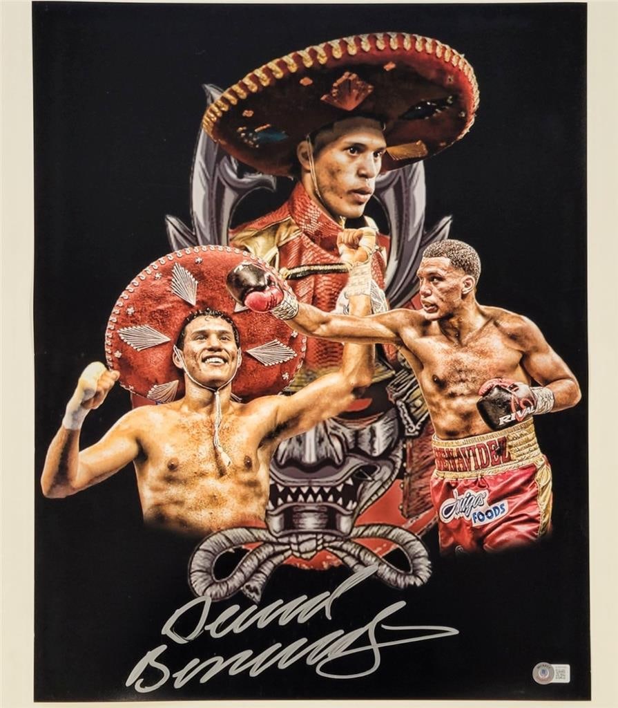 David Benavidez Signed 16x20 Boxing Photo Beckett BAS Authenticated: David Benavidez Signed 16x20 Boxing Photo Beckett BAS Authenticated This is an original 16x20 photo of boxing star David Benavidez, featuring his autograph authenticated by Beckett Authentication Serv