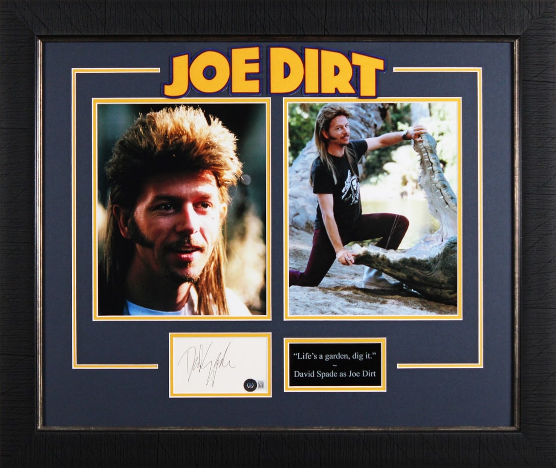 David Spade Joe Dirt Signed & Framed 3x5 Index Card with BAS Authentication: David Spade Joe Dirt Signed & Framed 3x5 Index Card with BAS Authentication This authentic and framed 3x5 index card features the signature of David Spade, known for his role in the film 'Joe Dirt.' T