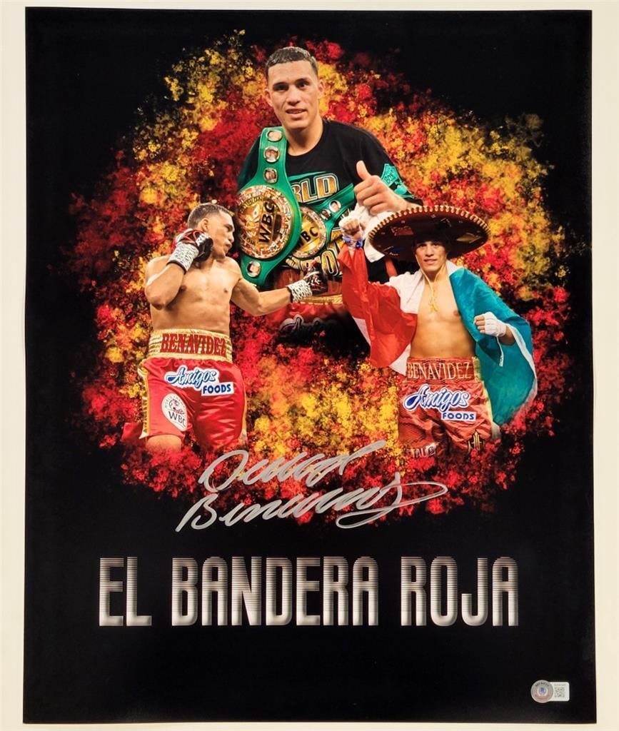 David Benavidez Signed 16x20 Boxing Photo Beckett Authenticated: David Benavidez Signed 16x20 Boxing Photo Beckett Authenticated This is an original 16x20 photograph of boxing star David Benavidez, featuring his authentic autograph. The item has been authenticated 