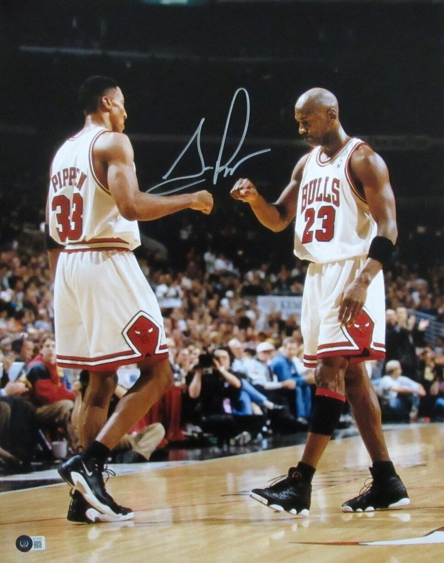 Scottie Pippen Autographed 16x20 Photo Chicago Bulls Beckett Certified: Scottie Pippen Autographed 16x20 Photo Chicago Bulls Beckett Certified This striking Scottie Pippen Hall of Fame autographed 16x20 photo captures the essence of one of basketball's legends while repre