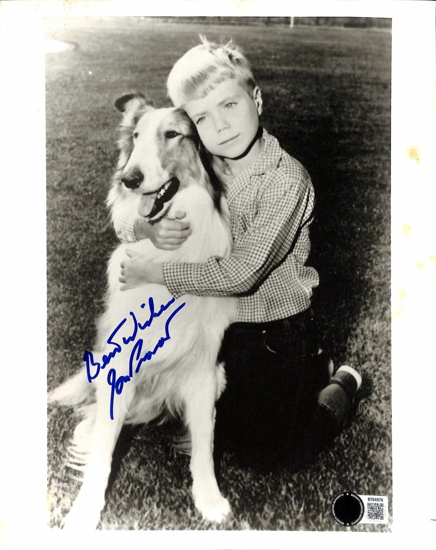 Jon Provost Signed 8x10 Photo Timmy with Lassie BECKETT Authenticated: Jon Provost Signed 8x10 Photo Timmy with Lassie BECKETT Authenticated This remarkable 8x10 black-and-white photo features Jon Provost in his iconic role as Timmy Martin, alongside the beloved collie, 