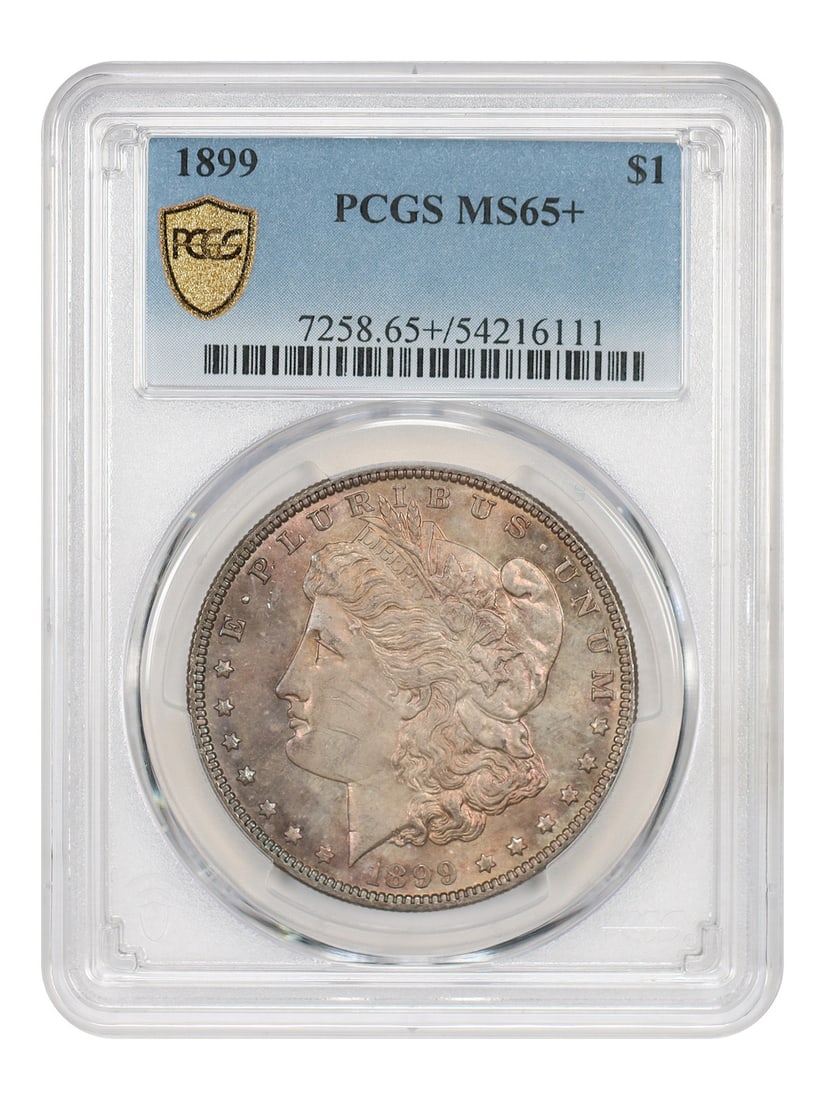 PCGS MS65 Plus 1899 Morgan Silver Dollar: PCGS MS65 Plus 1899 Morgan Silver Dollar This 1899 Morgan Dollar is a high-end gem example graded MS65+ by PCGS. It features vibrant obverse toning and is struck at the Philadelphia Mint. This uncircu