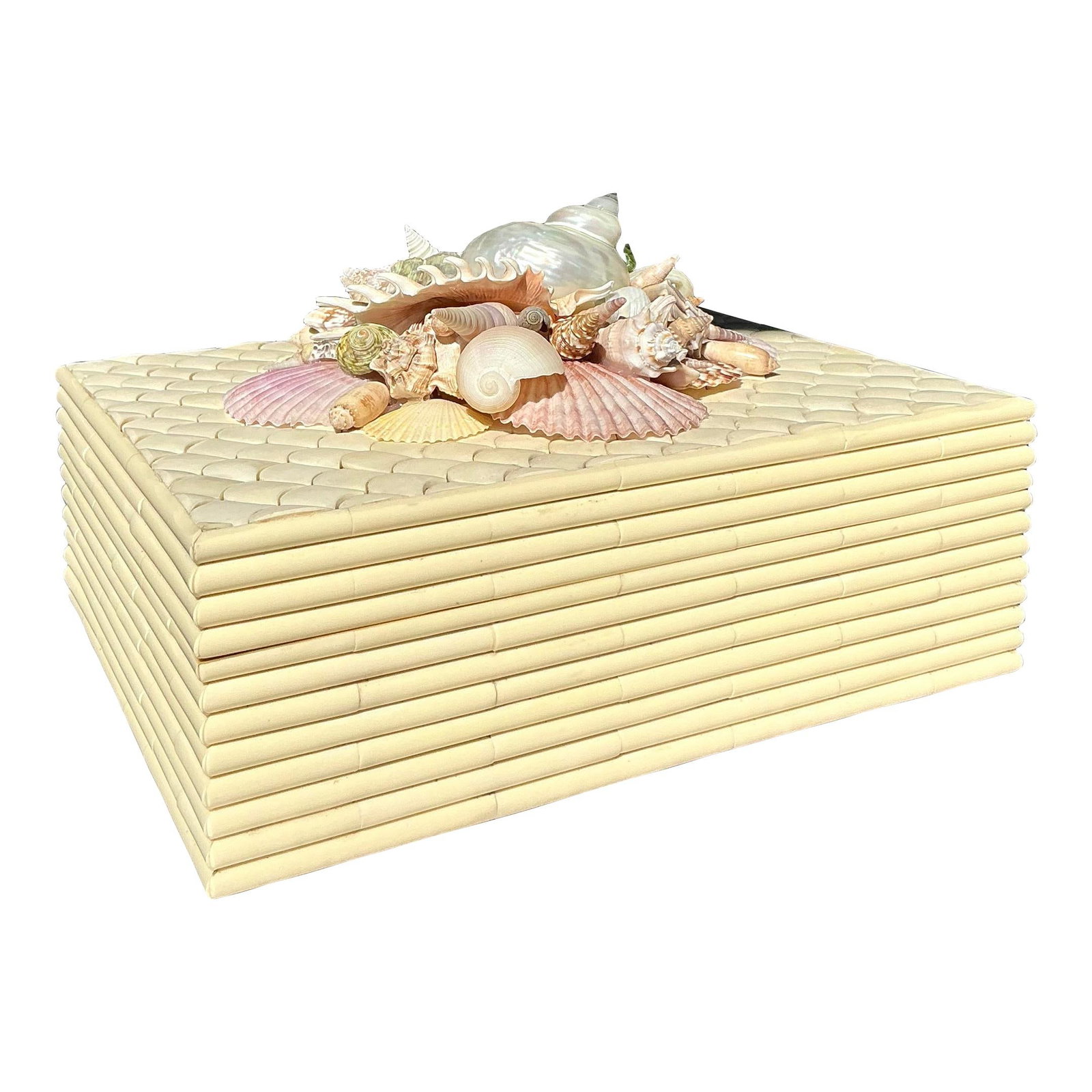 Vintage Coastal Shell Box Decorative Accent Ivory Resin 10 x 12.75 x 7 (1 of 6)