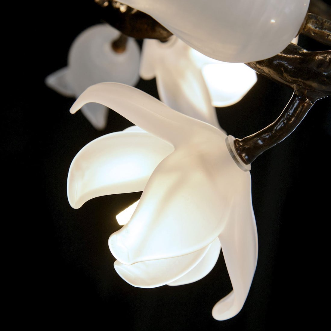 John-Richard Halo 12-Light Magnolia Tulip Glass Chandelier: John-Richard Halo 12-Light Magnolia Tulip Glass Chandelier Illuminate your space with the stunning Magnolia & Tulip Glass Chandelier, a beautiful addition to your lighting collection. This exquisite c