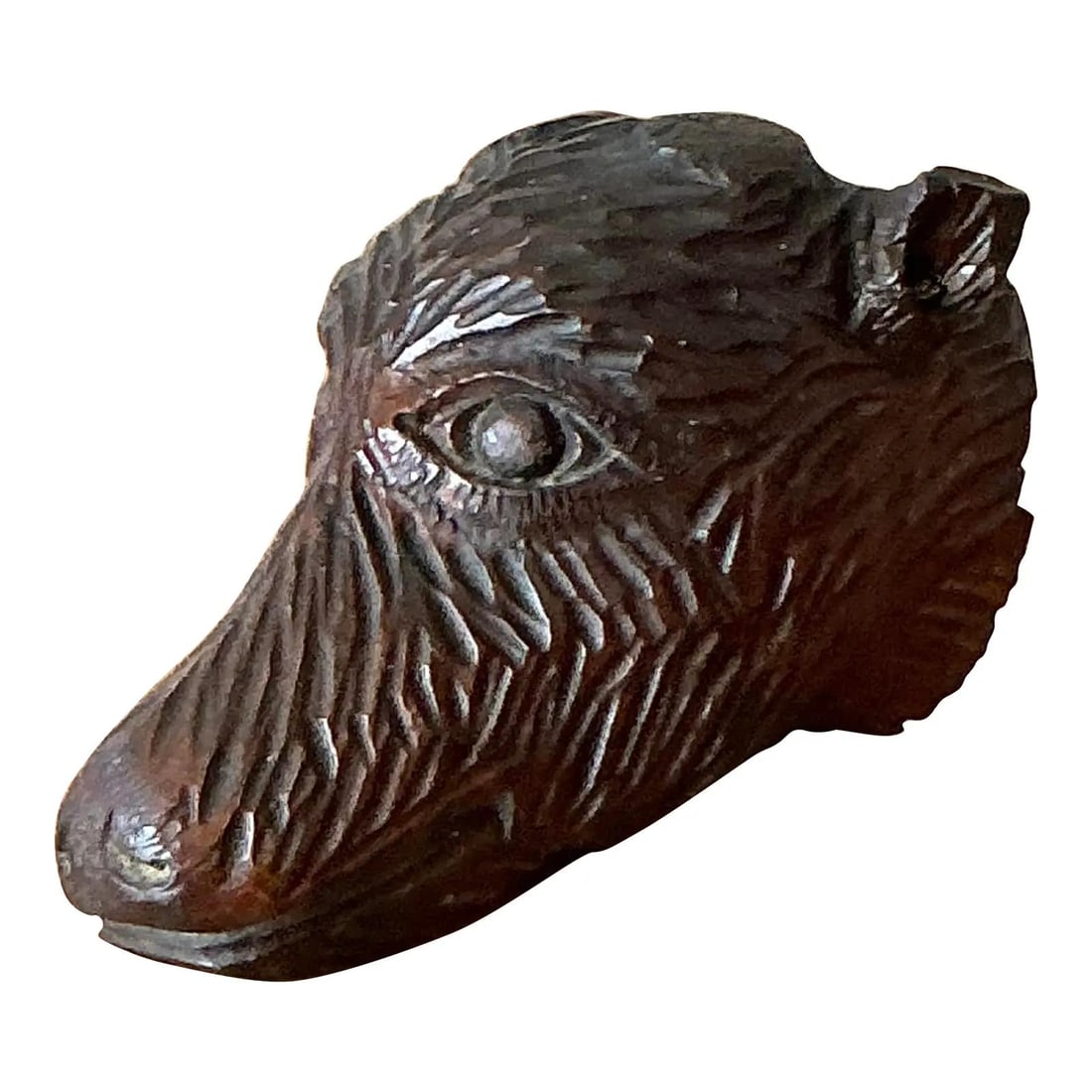 Hand-Carved Black Forest Boar Head Wood Sculpture Rustic European Decor (1 of 6)