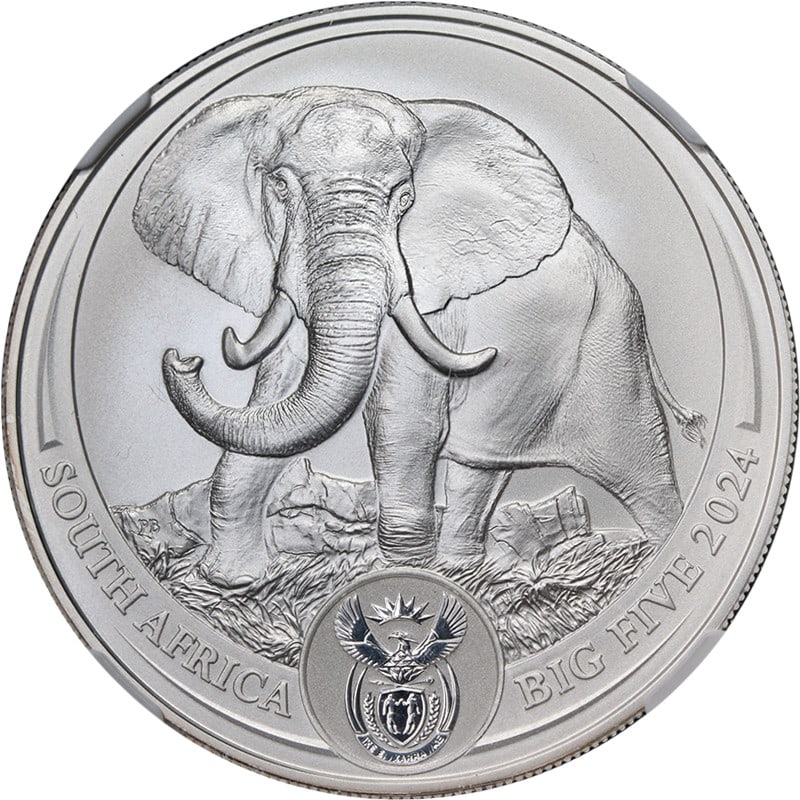 NGC MS70 2024 Silver Elephant Big 5 Coin 1 Oz South Africa: NGC MS70 2024 Silver Elephant Big 5 Coin 1 Oz South Africa This is an original 2024 South Africa 1 Ounce Silver Big 5 Elephant coin graded MS70 by NGC. The coin is uncirculated, composed of 0.999 fine