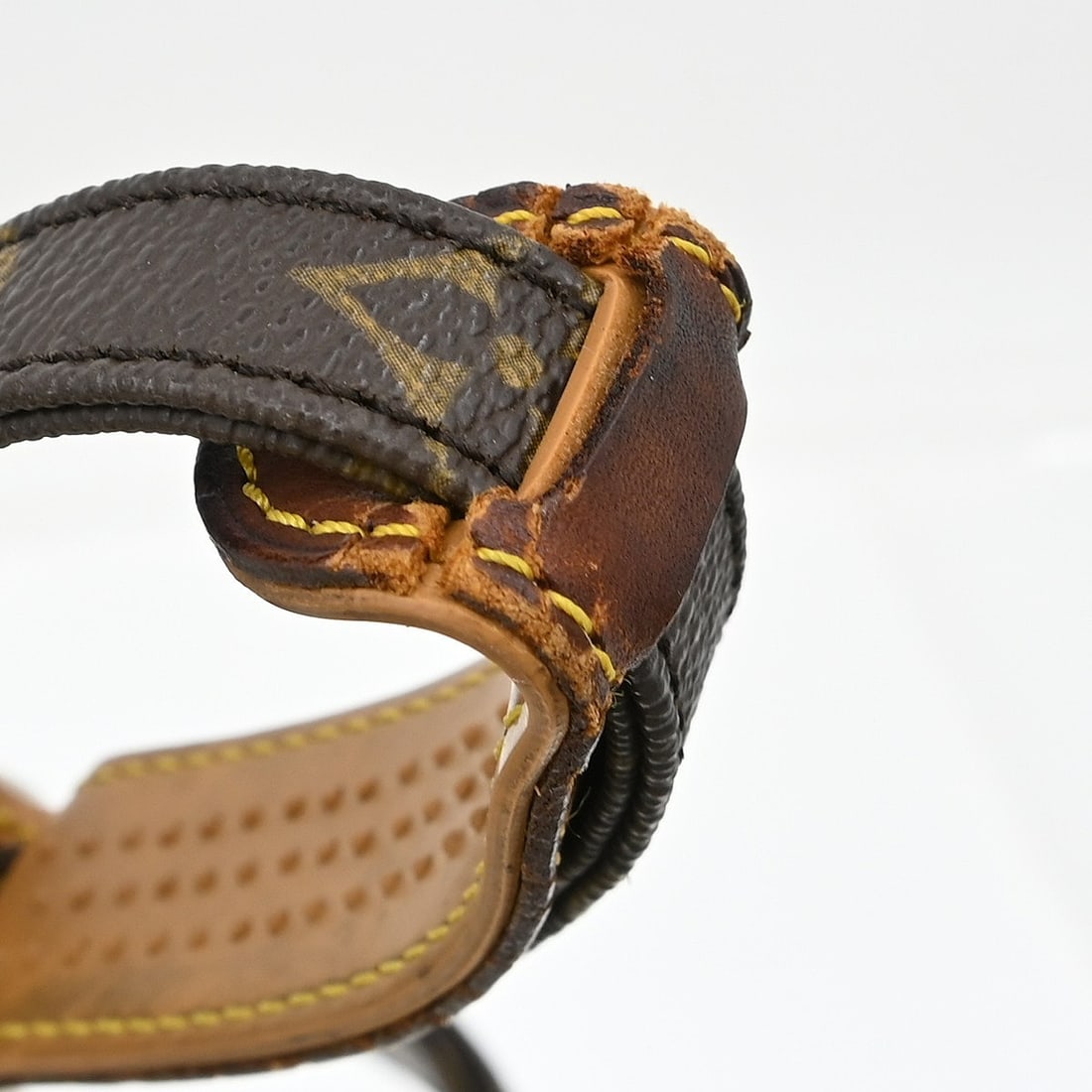 Louis Vuitton Amazon Monogram Canvas Crossbody Bag - 11
