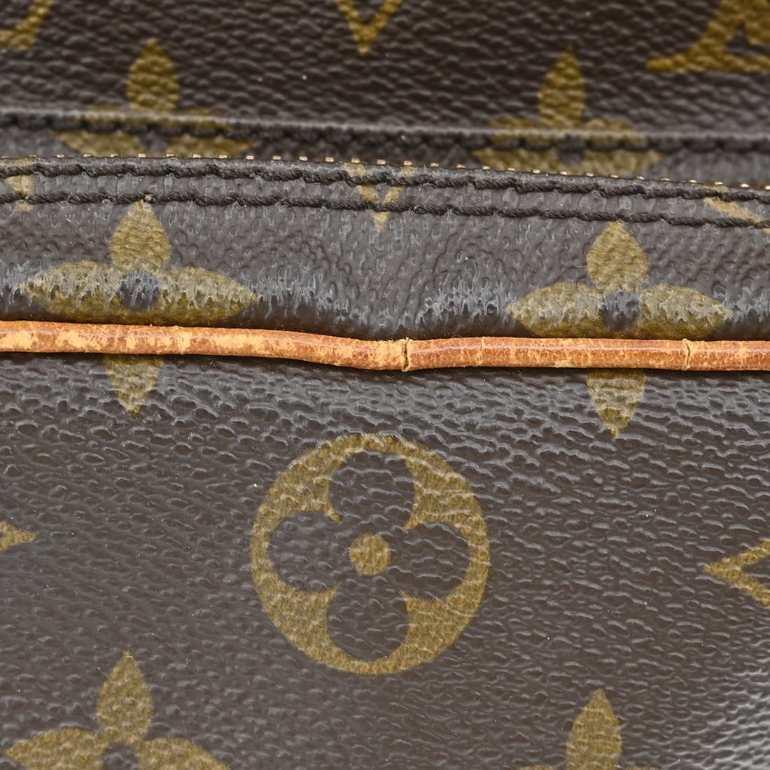 Louis Vuitton Amazon Monogram Canvas Crossbody Bag - 5