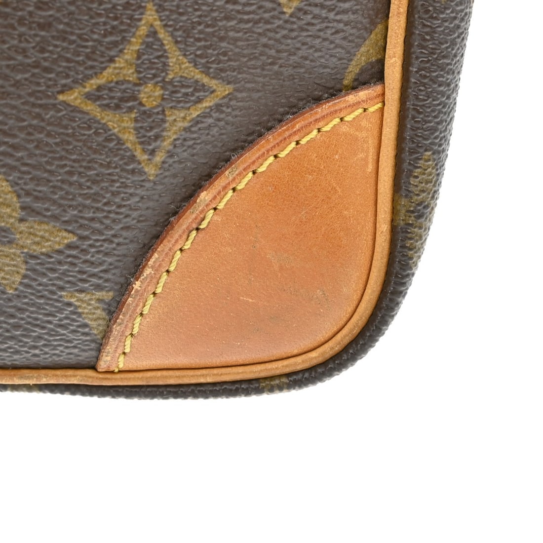 Louis Vuitton Amazon Monogram Canvas Crossbody Bag - 9