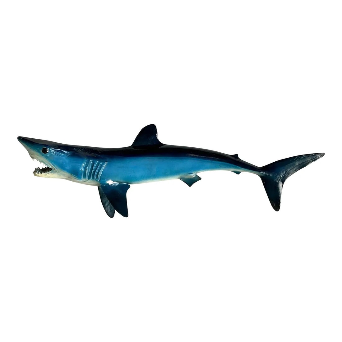 Resin Wall Sculpture Depicting Mako Shark in Vintage Coastal Style: Resin Wall Sculpture Depicting Mako Shark in Vintage Coastal Style This vintage wall mount is a taxidermy-style replica of a Mako shark, crafted from resin and featuring vivid hand-painted details. Th