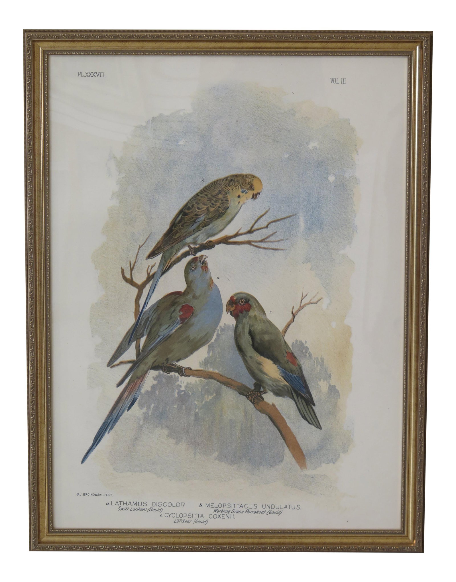 1990s Framed Bird Art in Gold Frame Vintage Decor: 1990s Framed Bird Art in Gold Frame Vintage Decor This stunning vintage bird artwork is professionally framed and ready to enhance your home decor. Dating back to the 1990s, this impressive piece feat
