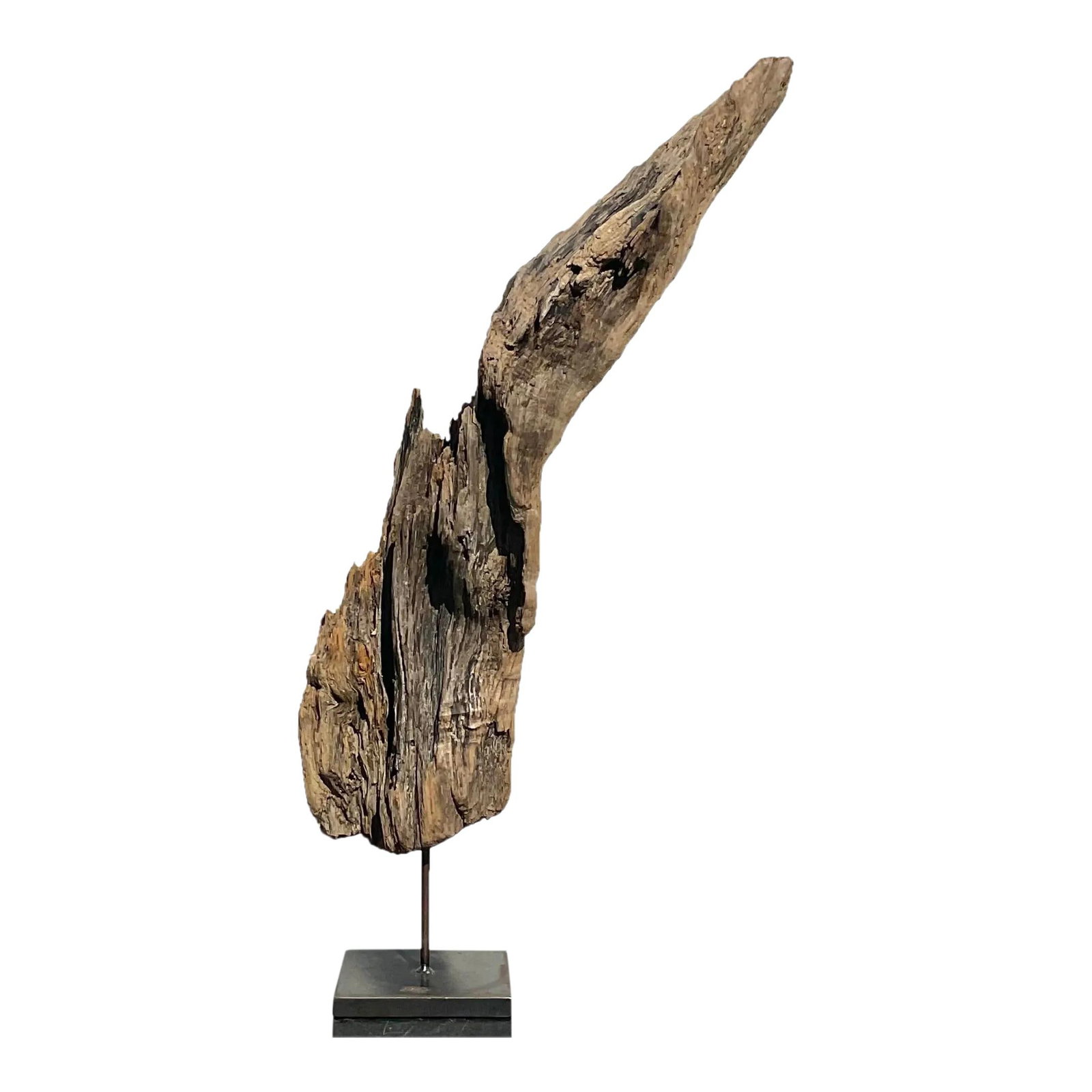 Monumental Vintage Boho Driftwood Sculpture on Steel Plinth: Monumental Vintage Boho Driftwood Sculpture on Steel Plinth This stunning late 20th-century vintage Boho sculpture showcases a chic and monumental piece of driftwood elegantly mounted on a durable ste