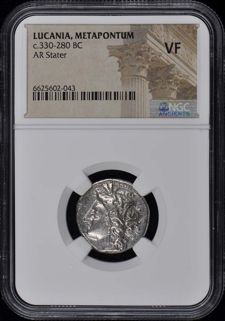 Ancient Greek AR Stater Coin NGC Certified Metapontum 330-280 BC: Ancient Greek AR Stater Coin NGC Certified Metapontum 330-280 BC This ancient Greek Ar Stater from Metapontum, Lucania, dates back to approximately 330-280 BC. It is certified by NGC with a grade of V
