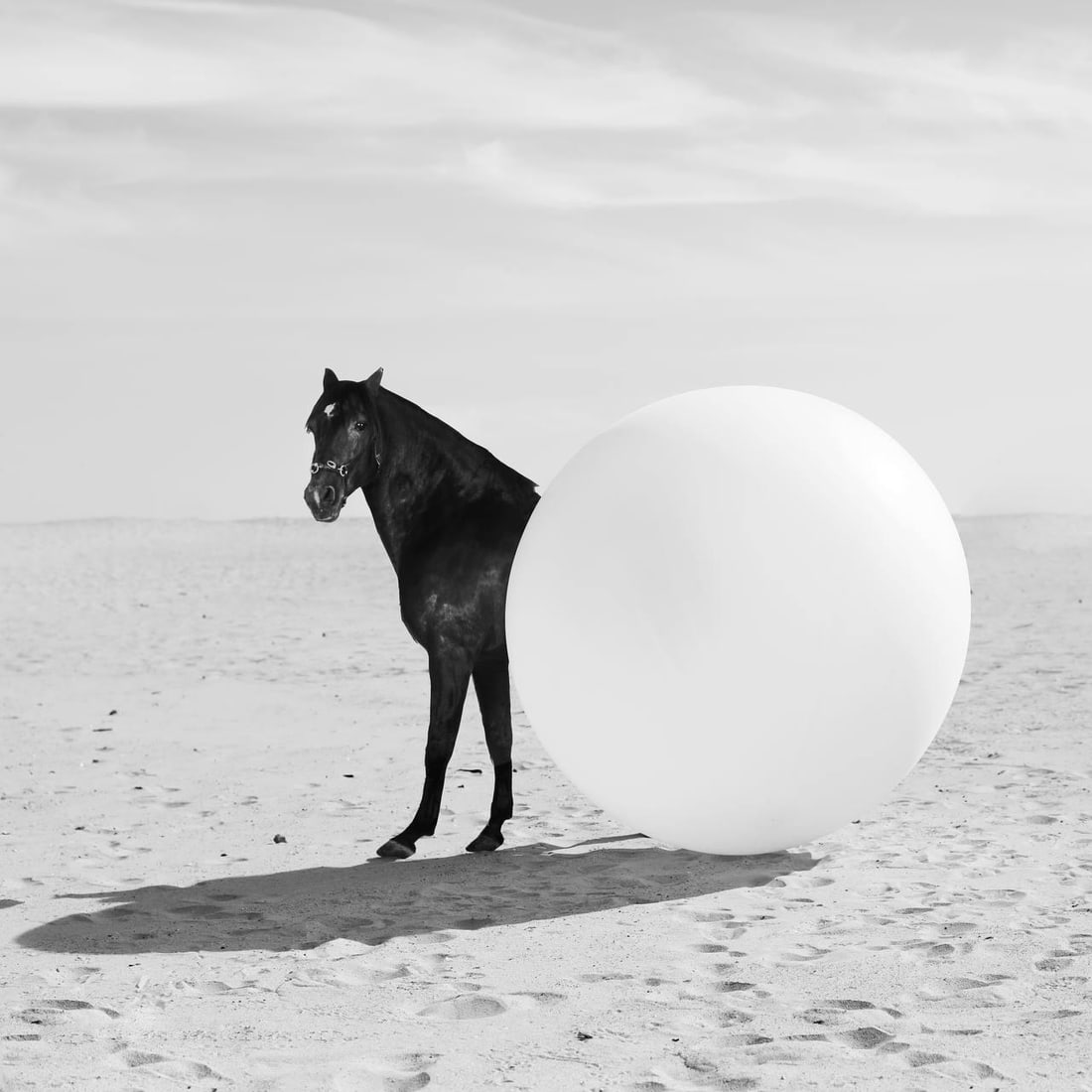 Olha Stepanian signed 16x16 surrealist photographic print Round Horse edition of 24: Olha Stepanian signed 16x16 surrealist photographic print Round Horse edition of 24 "Round Horse" is a surrealist photograph by Olha Stepanian, created in 2024. This un-used artwork is printed on Epso