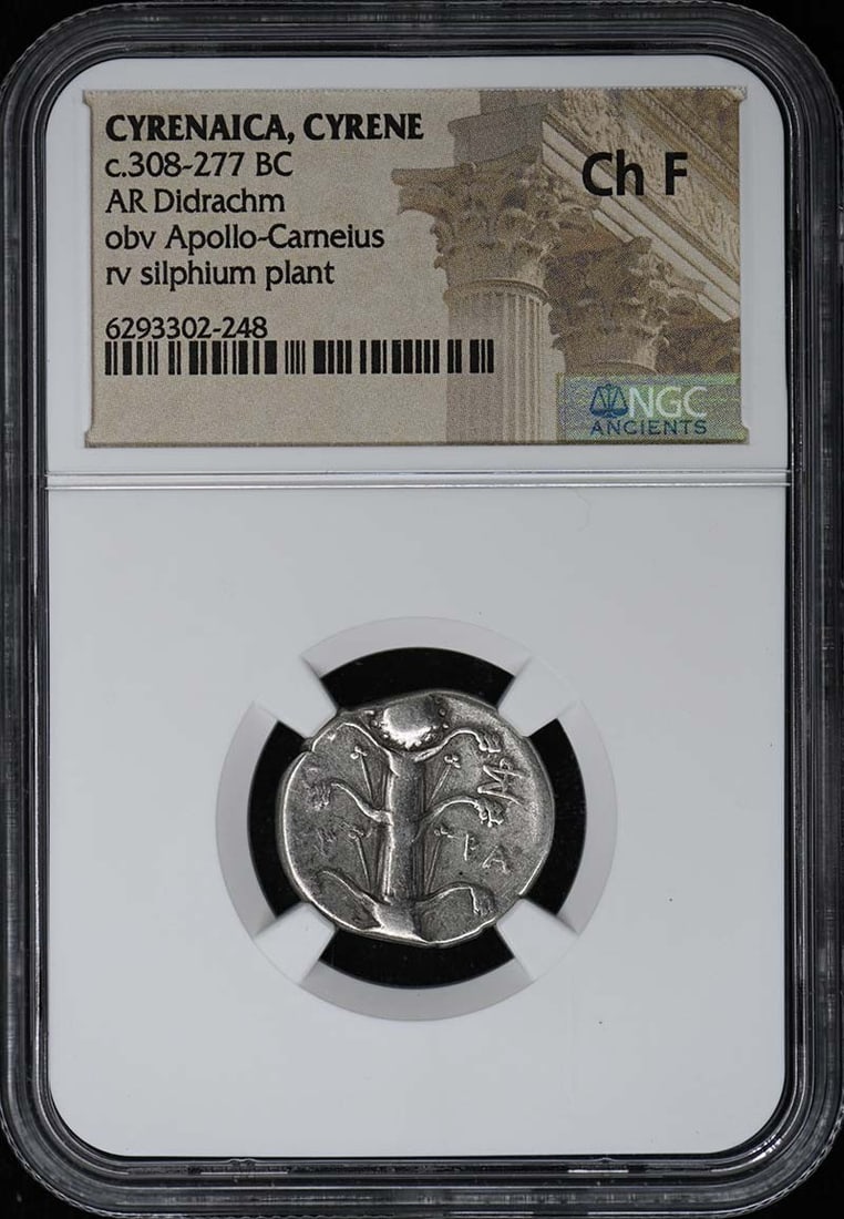 Cyrenaica Cyrene AR Didrachm NGC Ch F c.308-277 BC: Cyrenaica Cyrene AR Didrachm NGC Ch F c.308-277 BC This Cyrenaica, Cyrene AR Didrachm dates from approximately 308-277 BC and has been graded Choice Fine (Ch F) by NGC. The coin is certified by NGC an