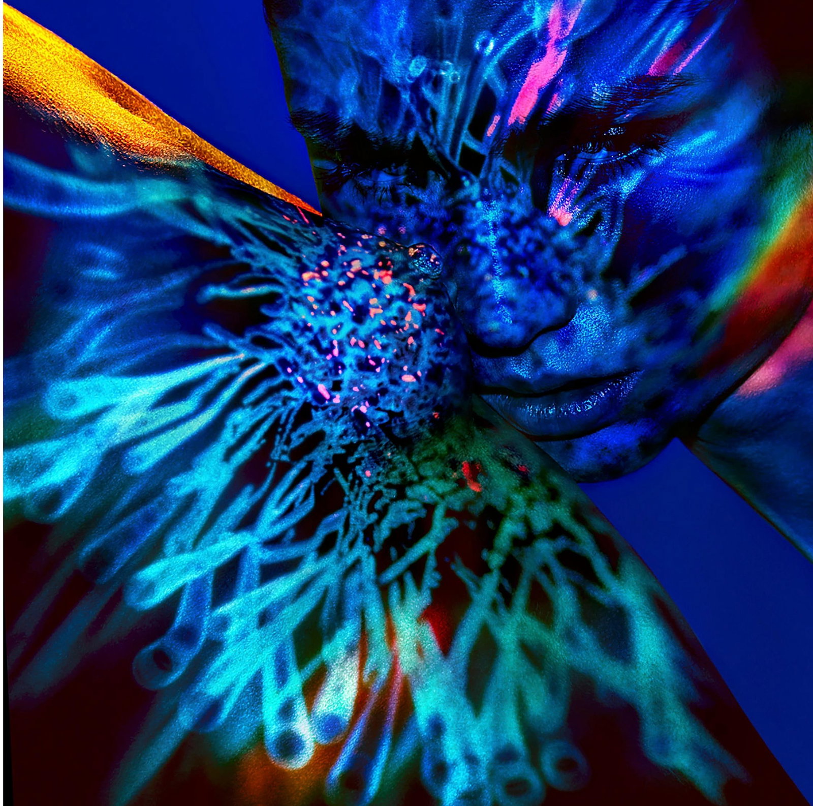 Giuliano Bekor LB22 Abstract Photography Framed Ed. of 4 Transcendence 48x48: Giuliano Bekor LB22 Abstract Photography Framed Ed. of 4 Transcendence 48x48 "LB22" is a stunning piece of abstract photography by Giuliano Bekor, presented in a custom frame. Created in 2018, this li