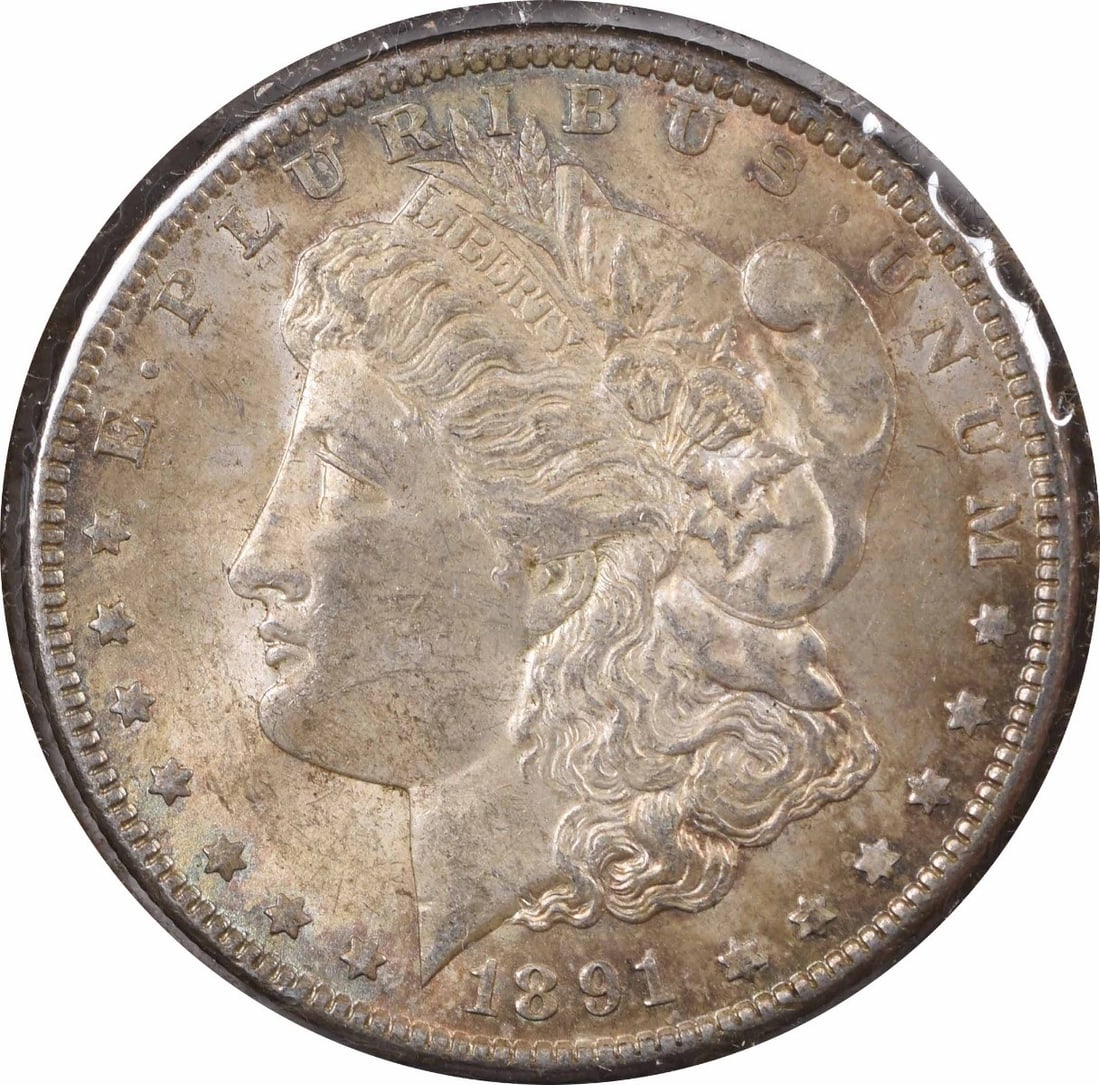 1891 Doubled Ear VAM 2 Morgan Silver Dollar BU Uncertified: 1891 Doubled Ear VAM 2 Morgan Silver Dollar BU Uncertified This is an 1891 VAM 2 Morgan Silver Dollar featuring a doubled ear variety. The coin is in Brilliant Uncirculated (BU) condition and remains 