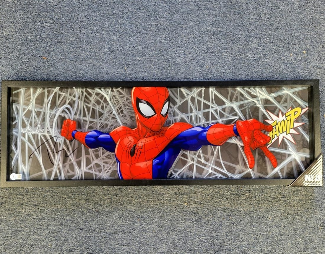 Spider-Man 10x30 Wall Display Signed by Tobey Maguire Beckett Authenticated (1 of 8)