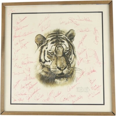 Framed 19x19 Detroit Tigers champions photo 40+ signatures JSA: Framed 19x19 Detroit Tigers champions photo 40+ signatures JSA This is a large 19x19 framed photograph featuring the 1968 and 1984 Detroit Tigers World Series Champions teams. The photo is team-signed