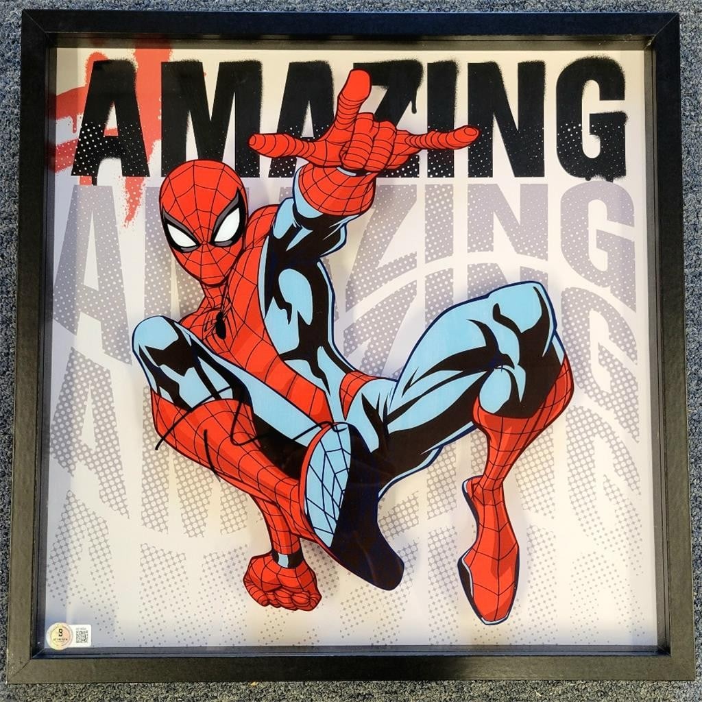 Spider-Man 16x16 Wall Art Signed by Tobey Maguire with Beckett Authentication: Spider-Man 16x16 Wall Art Signed by Tobey Maguire with Beckett Authentication This is a 16x16 wall art display featuring Spider-Man, personally signed by Tobey Maguire. The autograph is authenticated 