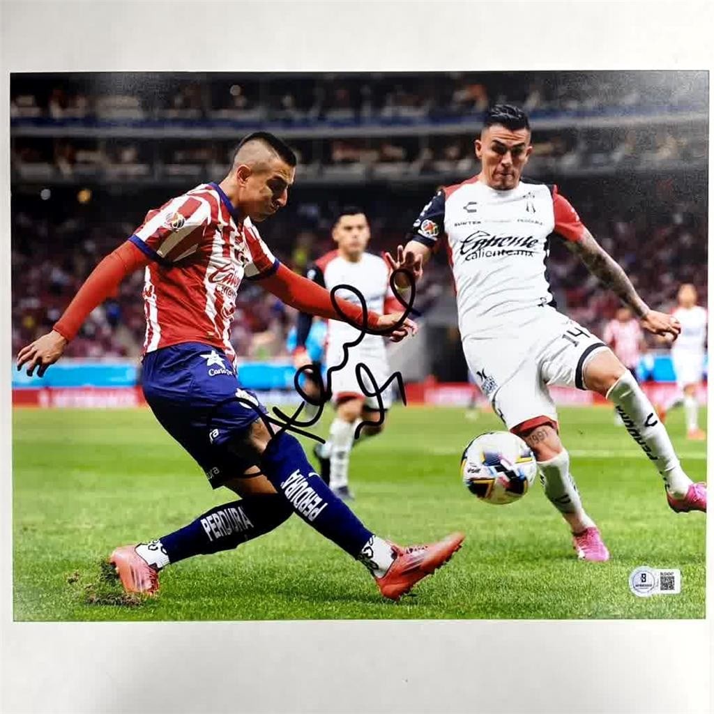 Autographed 11x14 Photo Roberto Alvarado Guadalajara Beckett Authenticated: Autographed 11x14 Photo Roberto Alvarado Guadalajara Beckett Authenticated This is an original 11x14 photograph featuring Roberto Alvarado, signed and authenticated by Beckett Authentication Services 