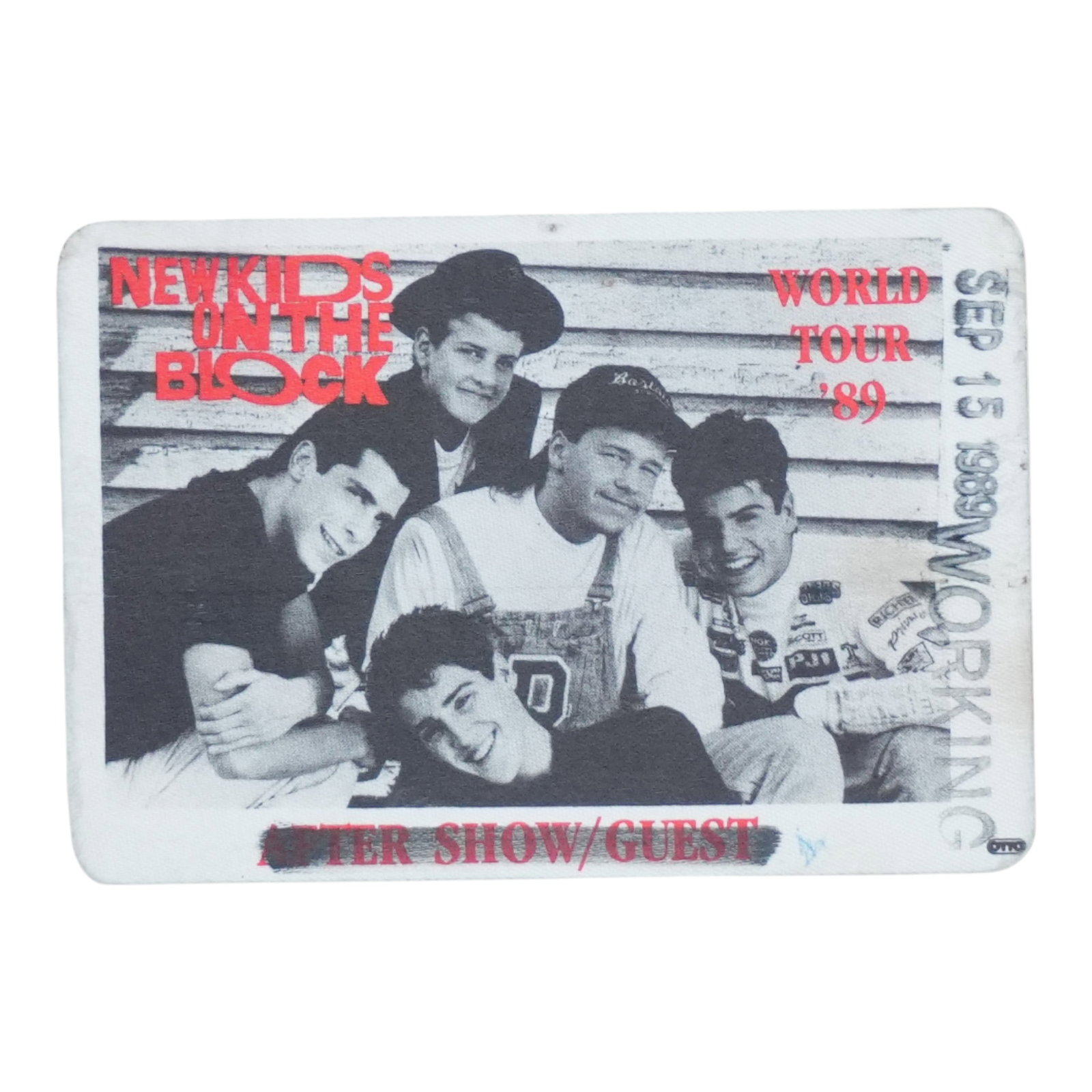 1989 New Kids On The Block Tour Backstage Pass (1 of 2)