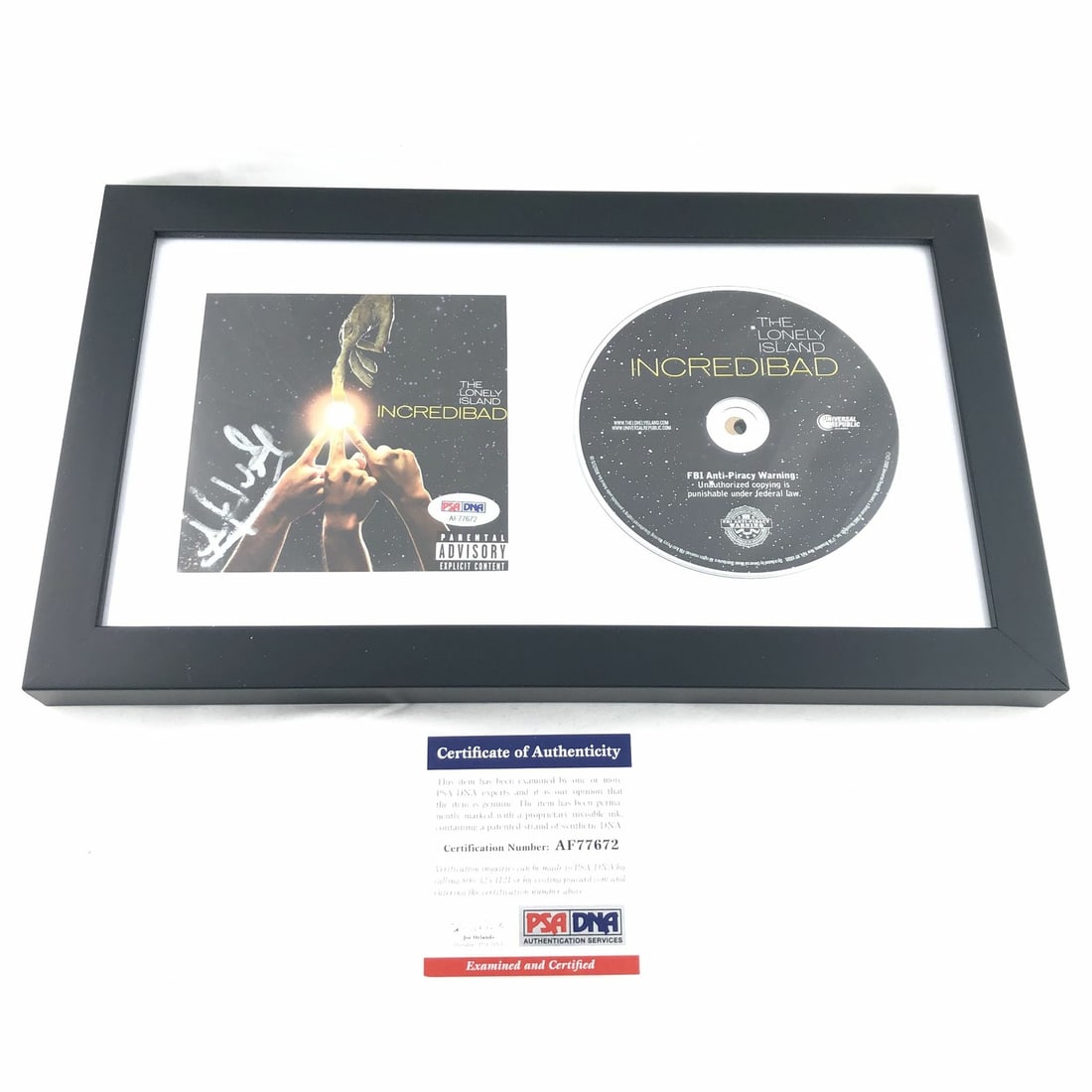 Framed Incredibad CD Cover Signed by Akiva Schaffer PSA DNA (1 of 3)