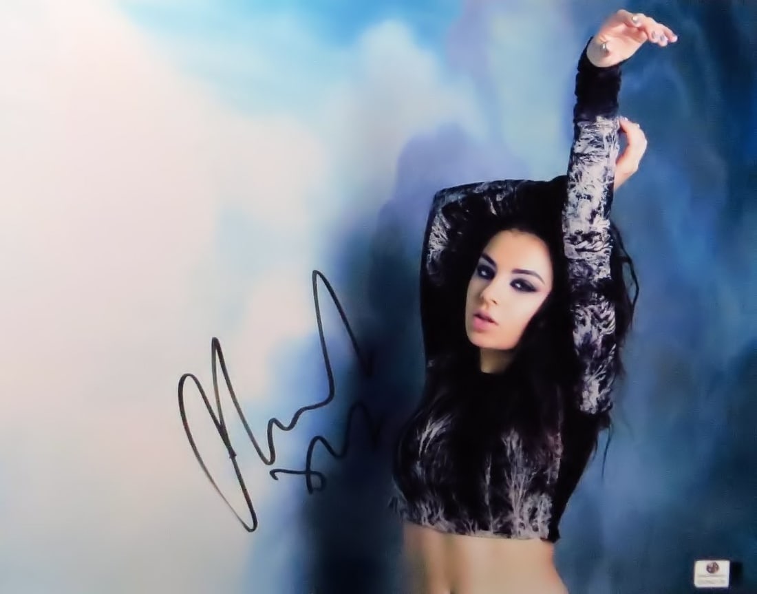 Charli XCX Autographed 11X14 Photo Authenticated by Global Authentics: Charli XCX Autographed 11X14 Photo Authenticated by Global Authentics This striking 11X14 photograph features Charli XCX, showcasing her in a captivating pose with her arms raised. The photo has been