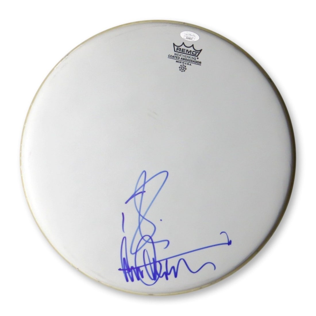Robin Zander Tom Petersson Autographed 14 Drumhead JSA Certified Cheap Trick: Robin Zander Tom Petersson Autographed 14 Drumhead JSA Certified Cheap Trick This original 14" drumhead is dual autographed by Robin Zander and Tom Petersson of Cheap Trick, showcasing the signatures 