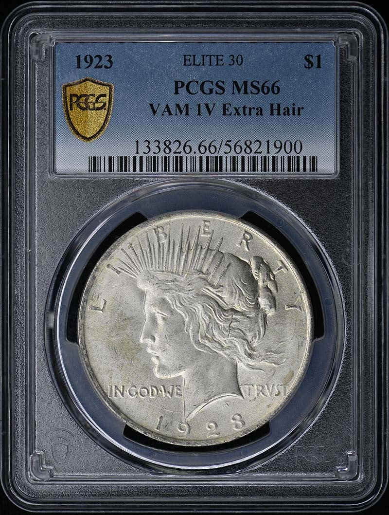 PCGS MS66 1923 Philadelphia Peace Dollar VAM 1V: PCGS MS66 1923 Philadelphia Peace Dollar VAM 1V This is a 1923 Peace Dollar graded MS66 by PCGS. The coin is uncirculated and was minted in Philadelphia. It is a pre-owned United States coin with no a