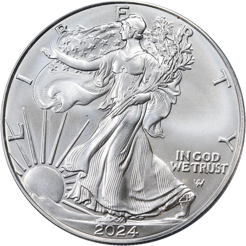 2024 $1 Silver American Eagle Coin ANACS MS70 Certified (1 of 4)