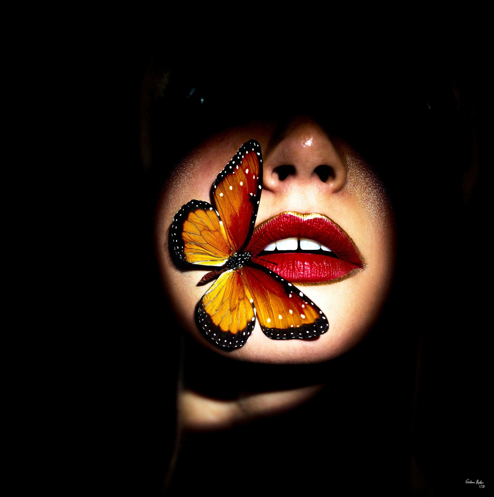 Giuliano Bekor Butterfly 40 Pop Art Photography 24x24 Edition 1/24: Giuliano Bekor Butterfly 40 Pop Art Photography 24x24 Edition 1/24 Experience the captivating beauty of 'Butterfly 40', a stunning piece of photography by renowned artist Giuliano Bekor. This 24" x 24
