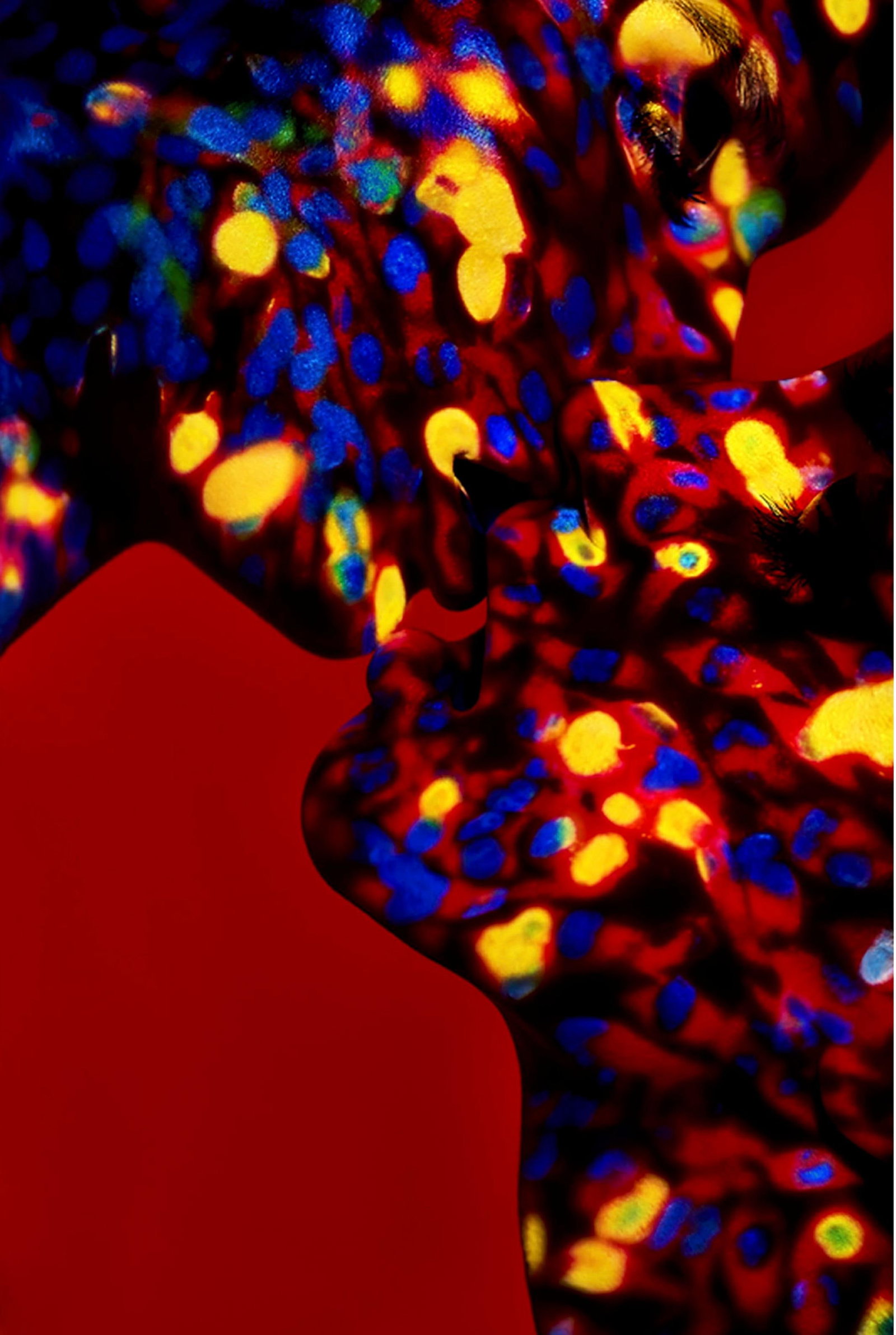 Giuliano Bekor LB34 Abstract Photography 72 x 48 Edition of 4: Giuliano Bekor LB34 Abstract Photography 72 x 48 Edition of 4 Experience the profound artistry of Giuliano Bekor with "LB34," an abstract photography piece from the acclaimed "Transcendence" series. T