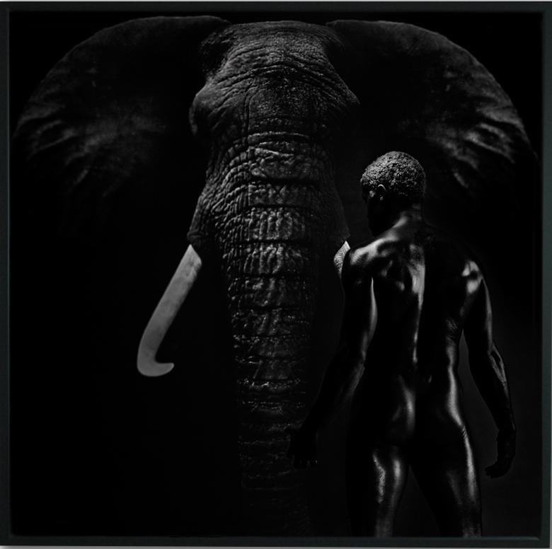 Giuliano Bekor E1 Black & White Photography Edition 1/10 48" x 48": Giuliano Bekor E1 Black & White Photography Edition 1/10 48" x 48" Introducing 'E1', an exquisite black and white photograph by acclaimed artist Giuliano Bekor, part of a limited edition of just 10 pr