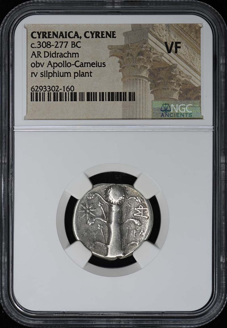Cyrenaica Cyrene AR Didrachm NGC VF c.308-277 BC (1 of 2)