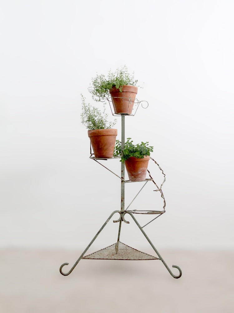 Mid Century Tiered Wrought Iron Garden Plant Stand with Scrollwork Accent: Mid Century Tiered Wrought Iron Garden Plant Stand with Scrollwork Accent This mid-20th century wrought iron plant stand features classic garden scrollwork and hand-twisted iron detailing, finished in
