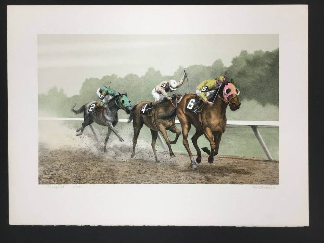 Mel Hunter Thoroughbred 1974 Signed Limited Edition Lithograph 312/500: Mel Hunter Thoroughbred 1974 Signed Limited Edition Lithograph 312/500 This exquisite limited edition offset lithograph titled "Thoroughbred" by renowned artist Mel Hunter showcases the dynamic theme 