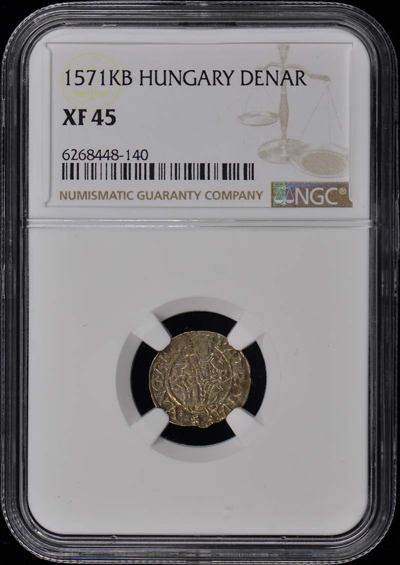 Maximilian II Hungary Denar Madonna Child NGC XF 45 Coin: Maximilian II Hungary Denar Madonna Child NGC XF 45 Coin This historical Hungary Denar features the iconic depiction of Madonna and Child, honoring Maximilian II. It has been certified by NGC with a g