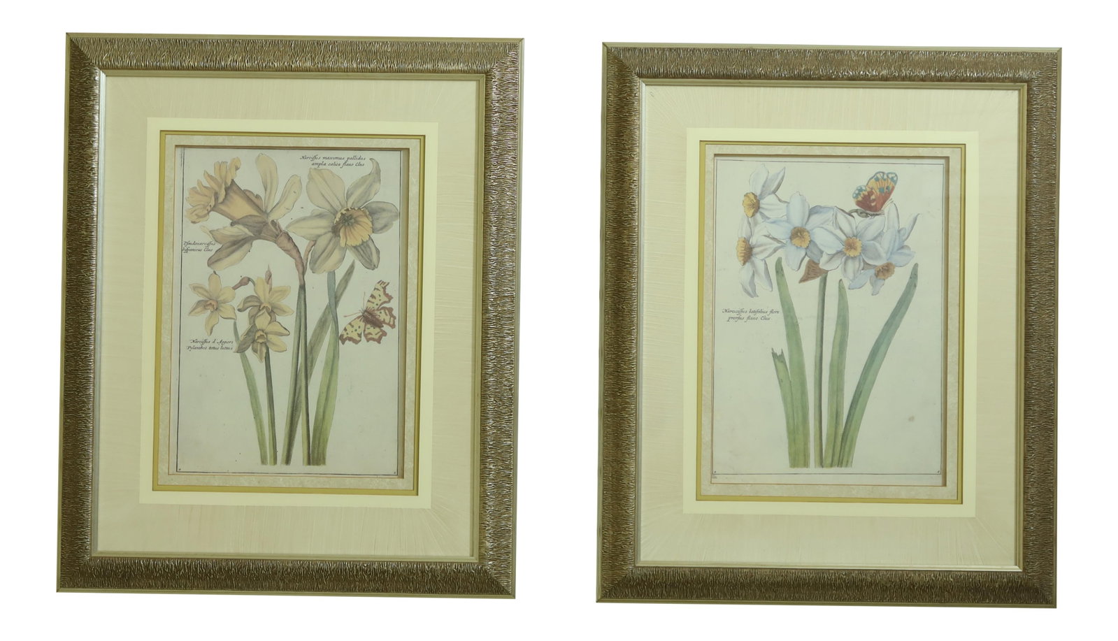 Elegant Pair of Silver Framed Botanical Prints 23 x 28 (1 of 8)