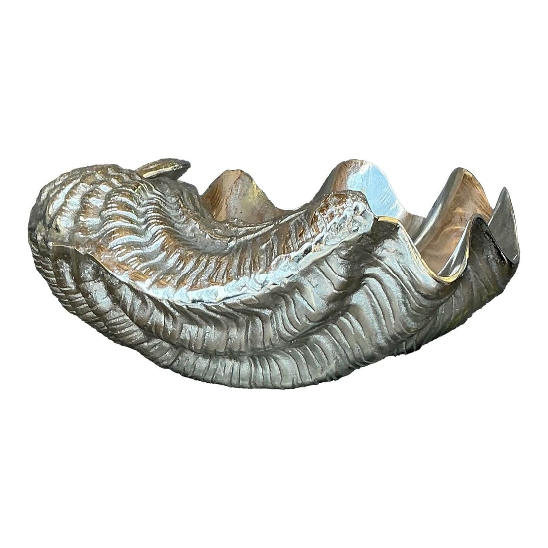 Vintage Metal Giant Clam Shell Decorative Sculpture 17 x 14.25 x 6: Vintage Metal Giant Clam Shell Decorative Sculpture 17 x 14.25 x 6 Introduce a touch of coastal elegance to your home with this Vintage Cast Metal Giant Clam Shell. This stunning decorative piece feat