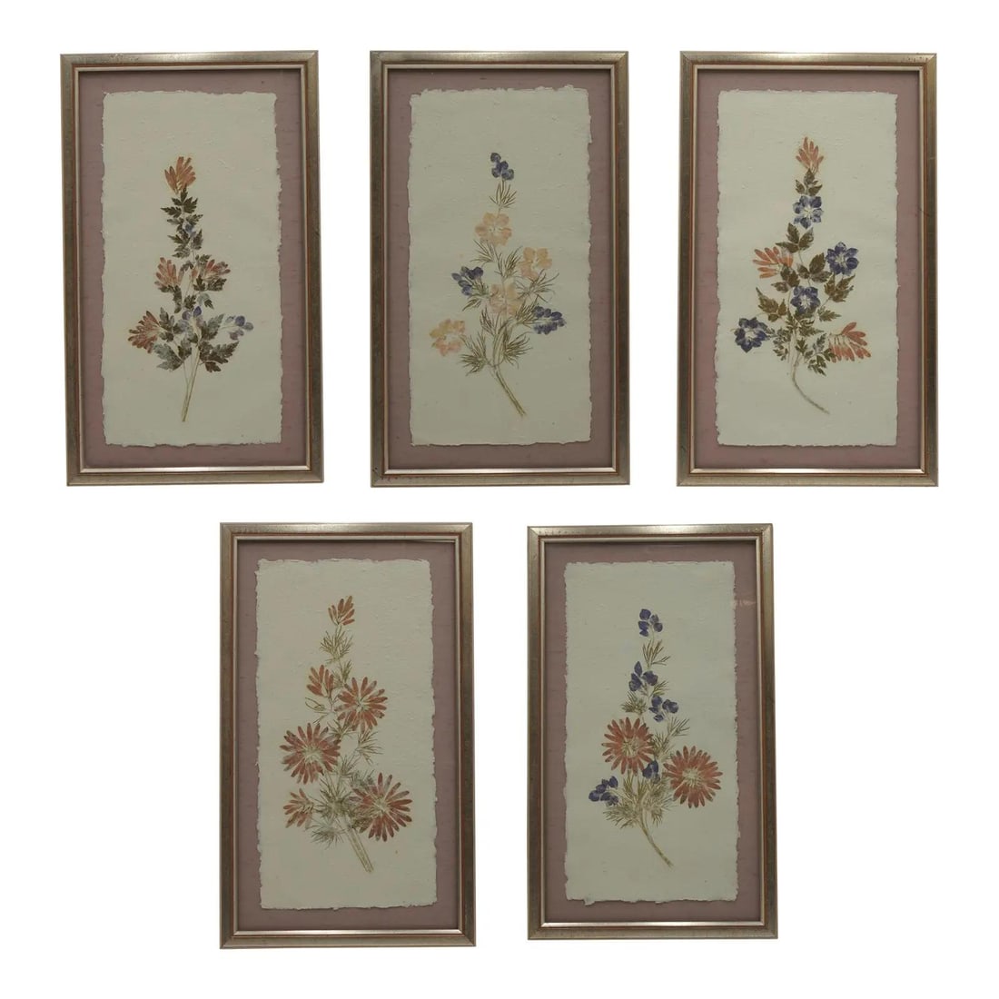 5 Framed Botanical Pressed Flower Works on Deckled Handmade Paper Set of 5 (1 of 10)