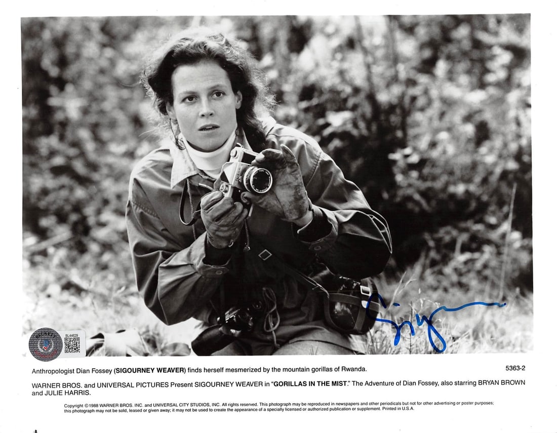 Beckett Authenticated Sigourney Weaver 8x10 Gorillas in the Mist Photo: Beckett Authenticated Sigourney Weaver 8x10 Gorillas in the Mist Photo This is an authentic 8x10 photograph signed by Sigourney Weaver from "Gorillas in the Mist." The autograph is verified by Beckett