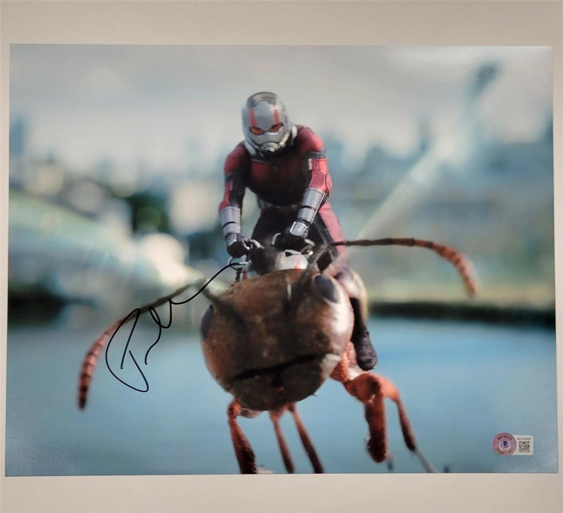 Paul Rudd Signed Ant Man 11x14 Photo Autographed Marvel Beckett BAS: Paul Rudd Signed Ant Man 11x14 Photo Autographed Marvel Beckett BAS This is an original 11x14 photograph featuring Paul Rudd as Ant Man, signed by the actor himself. The autograph has been authenticat