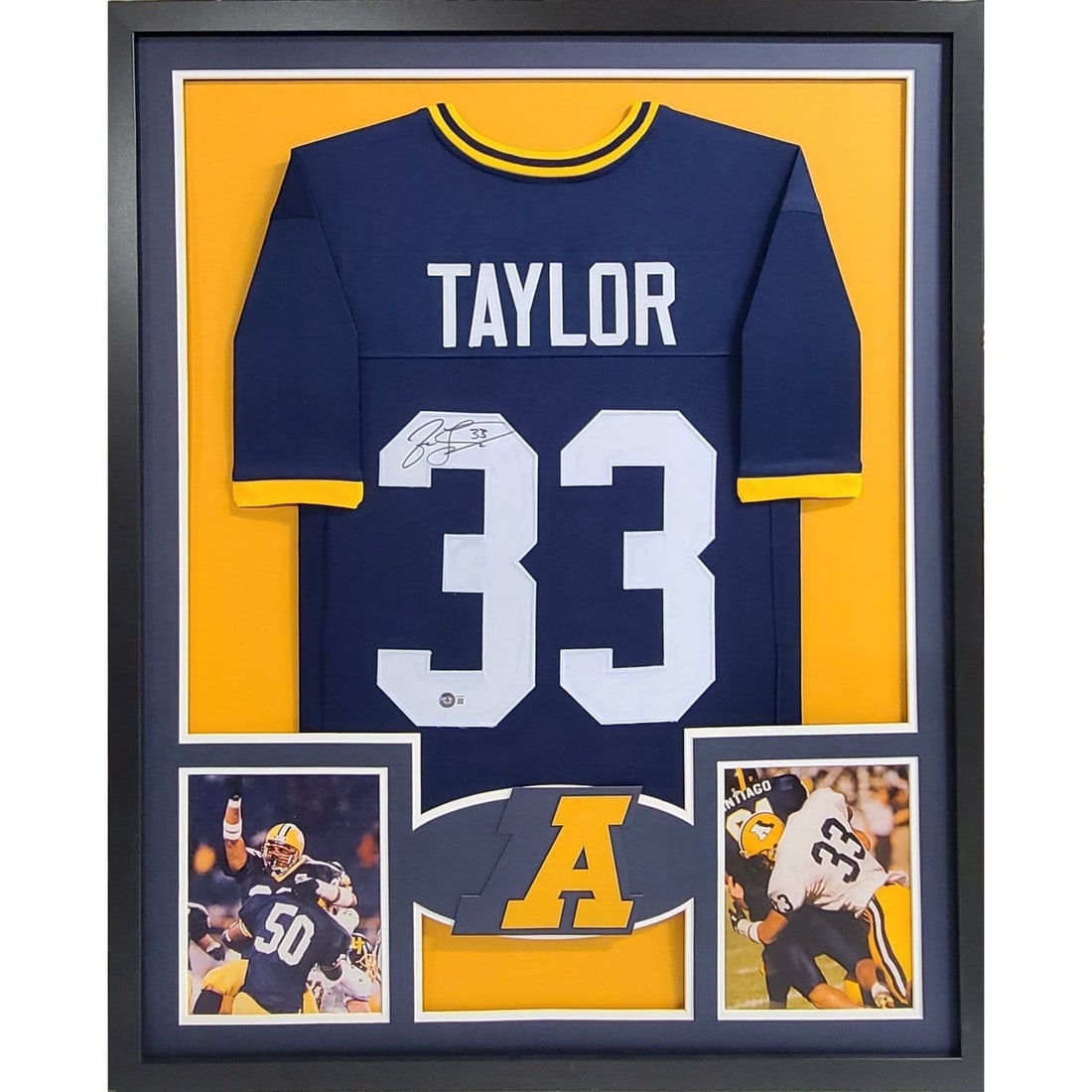 Framed Jason Taylor Akron Zips Jersey Signed With Beckett Authentication (1 of 2)